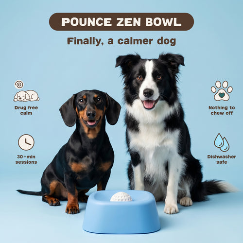 Pounce Zen Bowl™