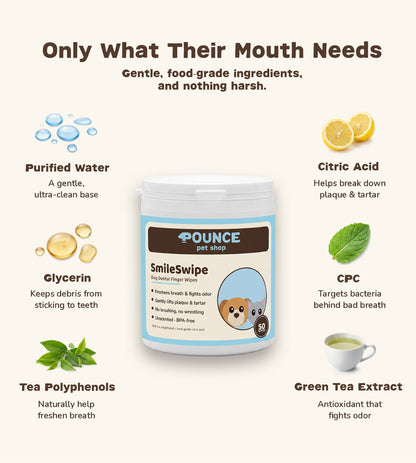 SmileSwipe ingredients: purified water, glycerin, tea polyphenols, food-grade citric acid, CPC, green tea extract - gentle, food-grade, nothing harsh